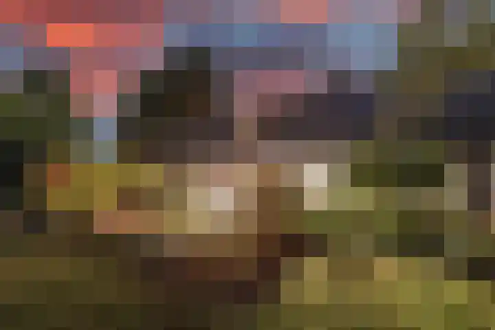 Ketting 19 Heerenveen thumbnail 52