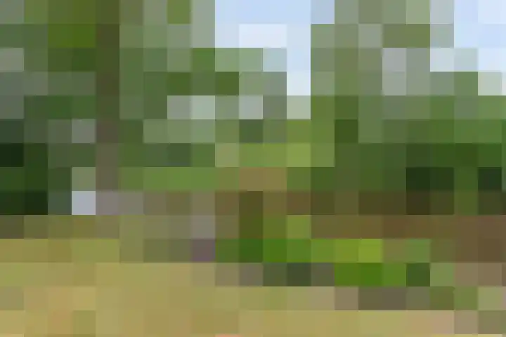 Ketting 19 Heerenveen thumbnail 53