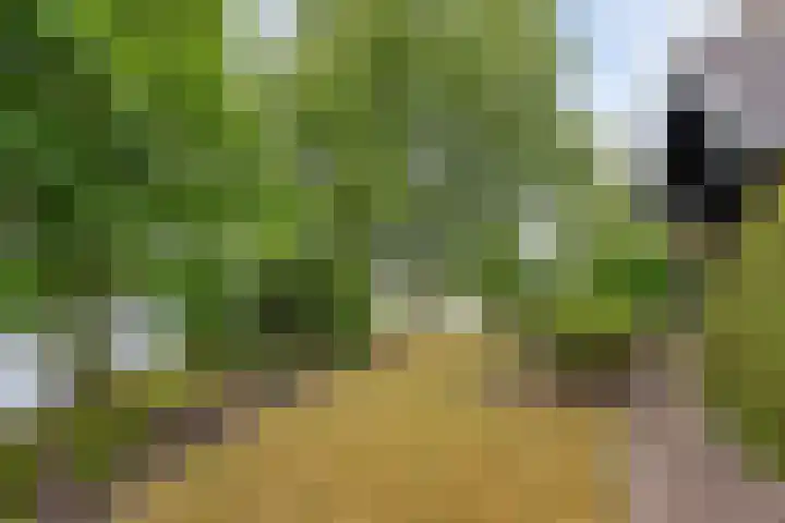 Ketting 19 Heerenveen thumbnail 54