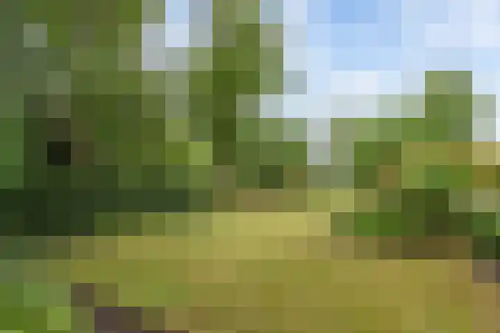 Ketting 19 Heerenveen thumbnail 55