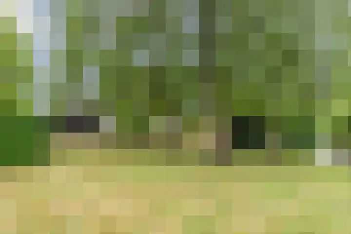 Ketting 19 Heerenveen thumbnail 59