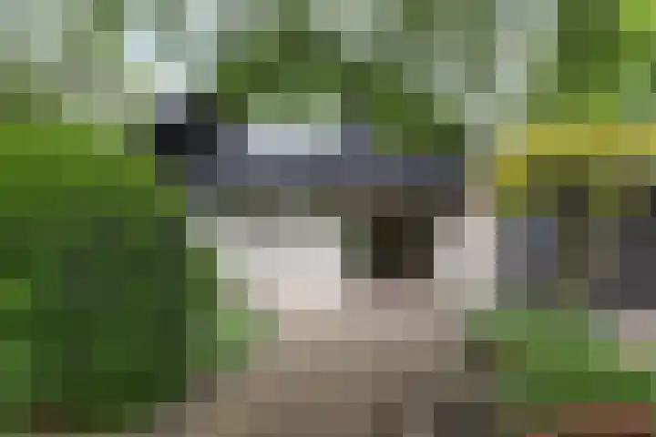 Ketting 19 Heerenveen thumbnail 6