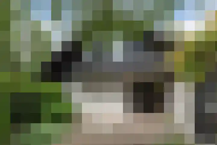 Ketting 19 Heerenveen thumbnail 61