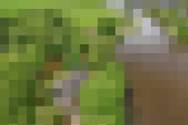 Ketting 19 Heerenveen thumbnail 65
