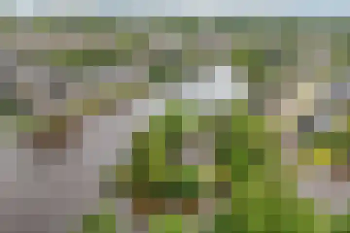 Ketting 19 Heerenveen thumbnail 66