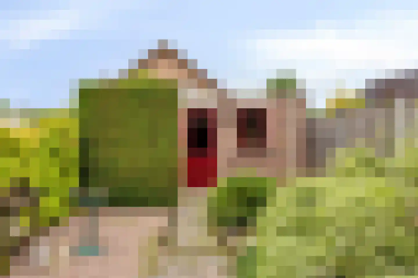 Kettingpol 37 Herwen thumbnail 16