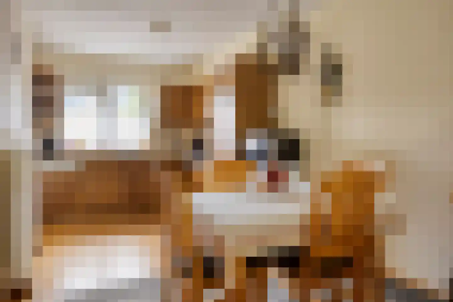 Kettingpol 37 Herwen thumbnail 7