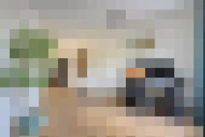 Kettingpol 43 Herwen thumbnail 12