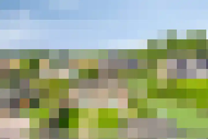 Kettingpol 43 Herwen thumbnail 33