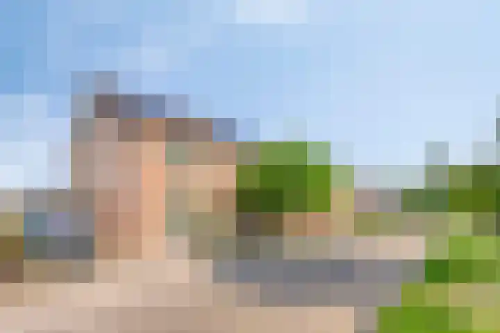 Kettingpol 43 Herwen thumbnail 35
