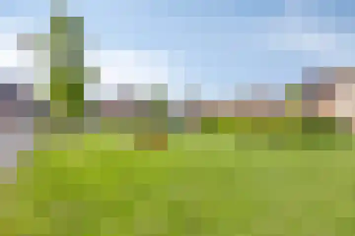 Kettingpol 43 Herwen thumbnail 39