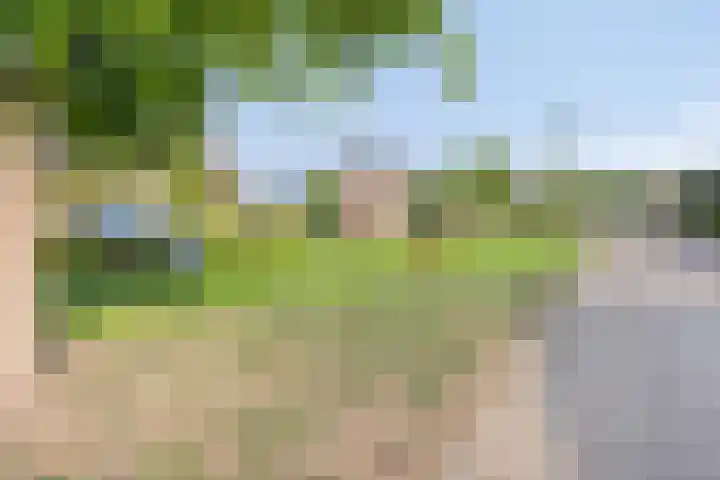 Kettingpol 43 Herwen thumbnail 40