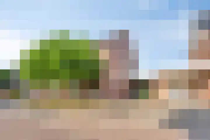Kettingpol 43 Herwen thumbnail 45