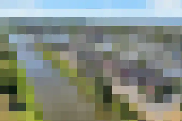 Kettingsteek 13 Almere thumbnail 4