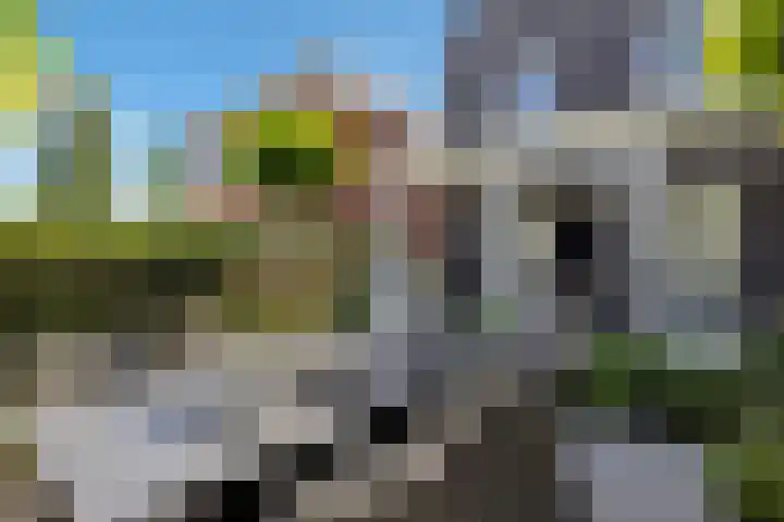 Kettingsteek 13 Almere thumbnail 72
