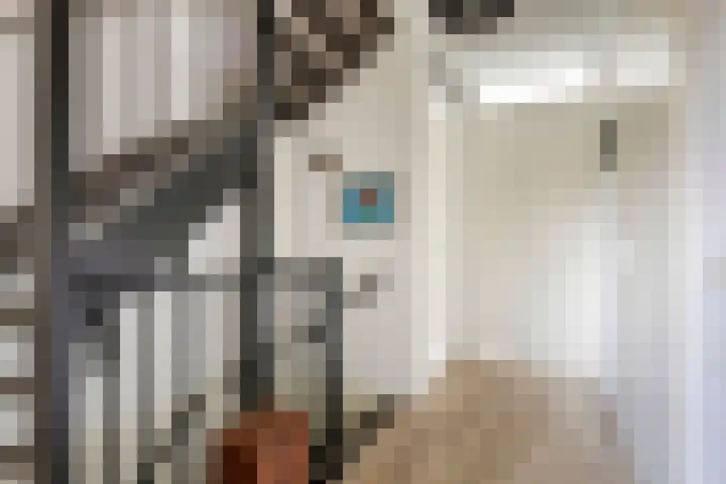 Kettingstraat 30 Geldrop thumbnail 22