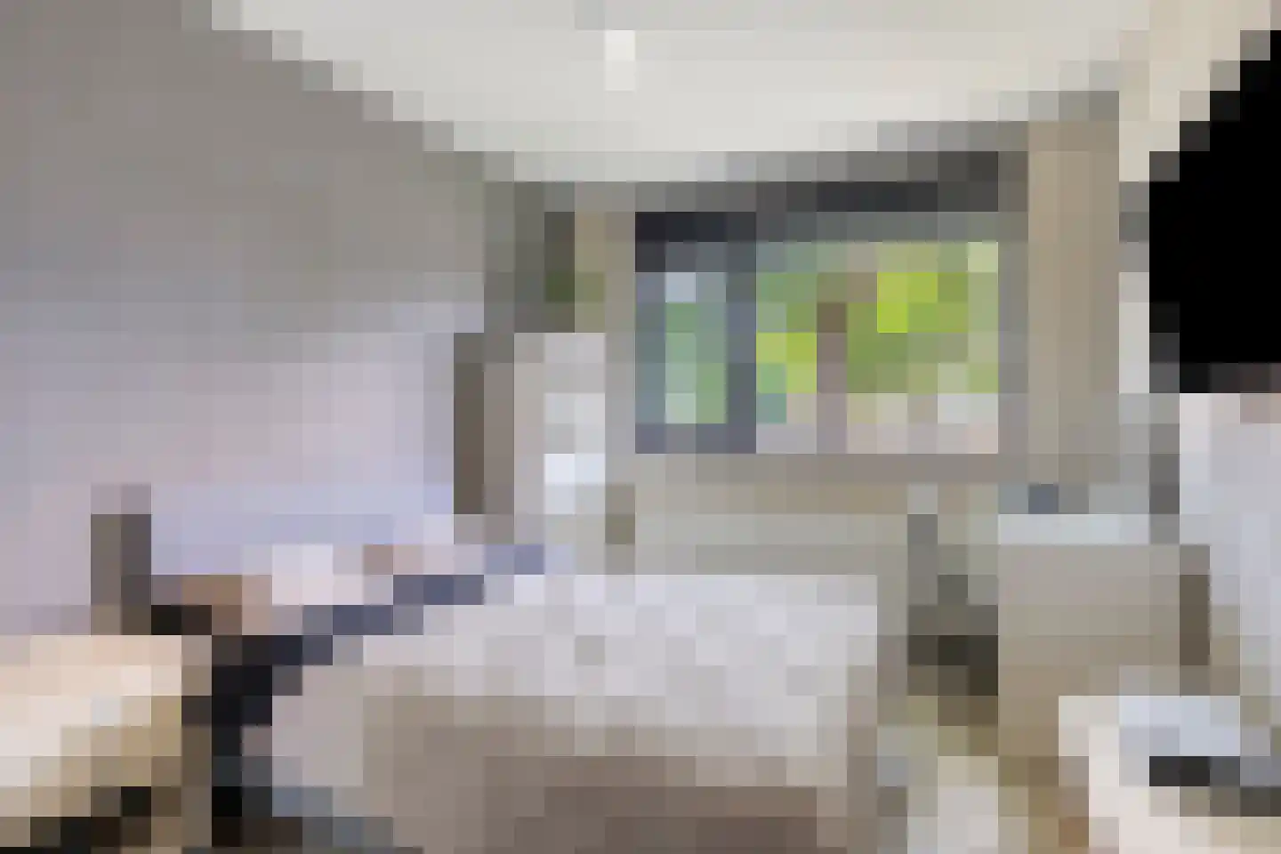 Kettingstraat 30 Geldrop thumbnail 31