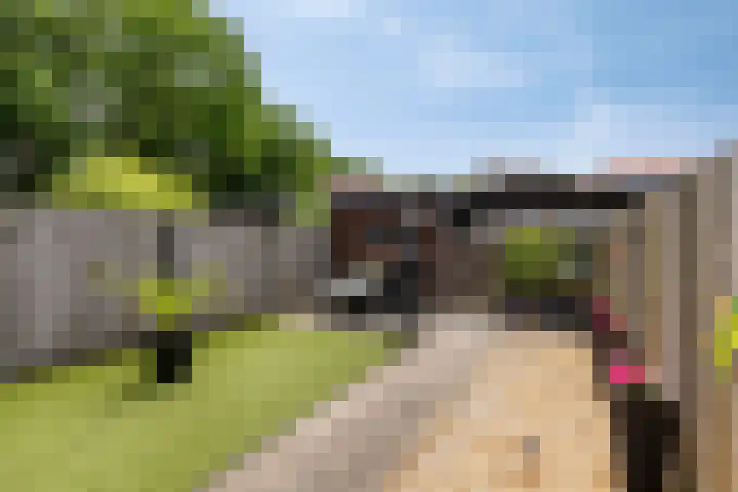 Kettingstraat 30 Geldrop thumbnail 44