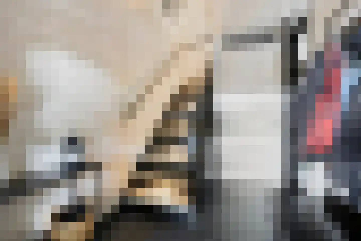 Kettingstraat 30 Geldrop thumbnail 8