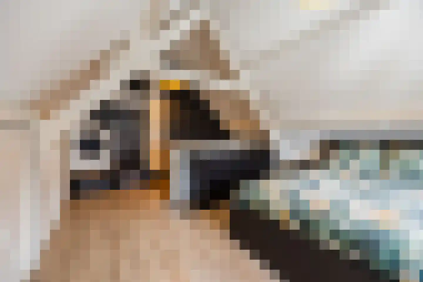 Kettingstraat 6 Bergen op Zoom thumbnail 31
