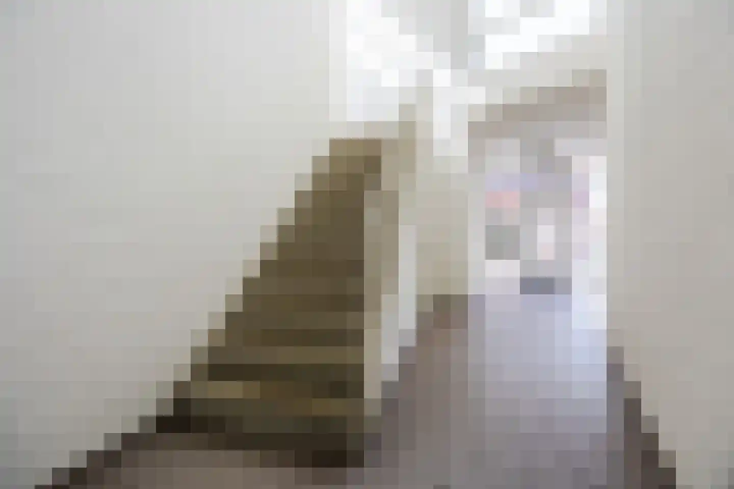 Kettingstraat 6 Bergen op Zoom thumbnail 40