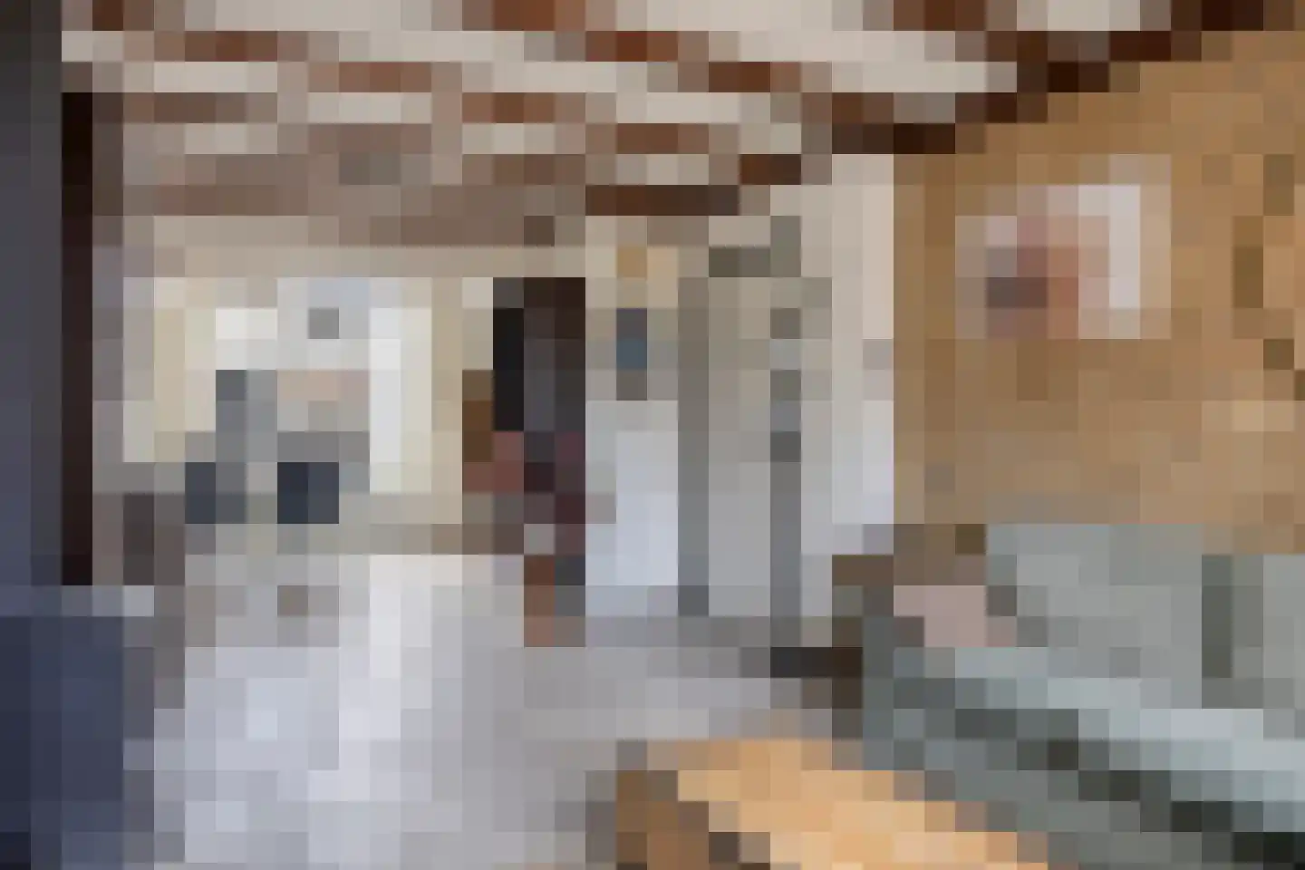 Kettingstraat 9 Tilburg thumbnail 6