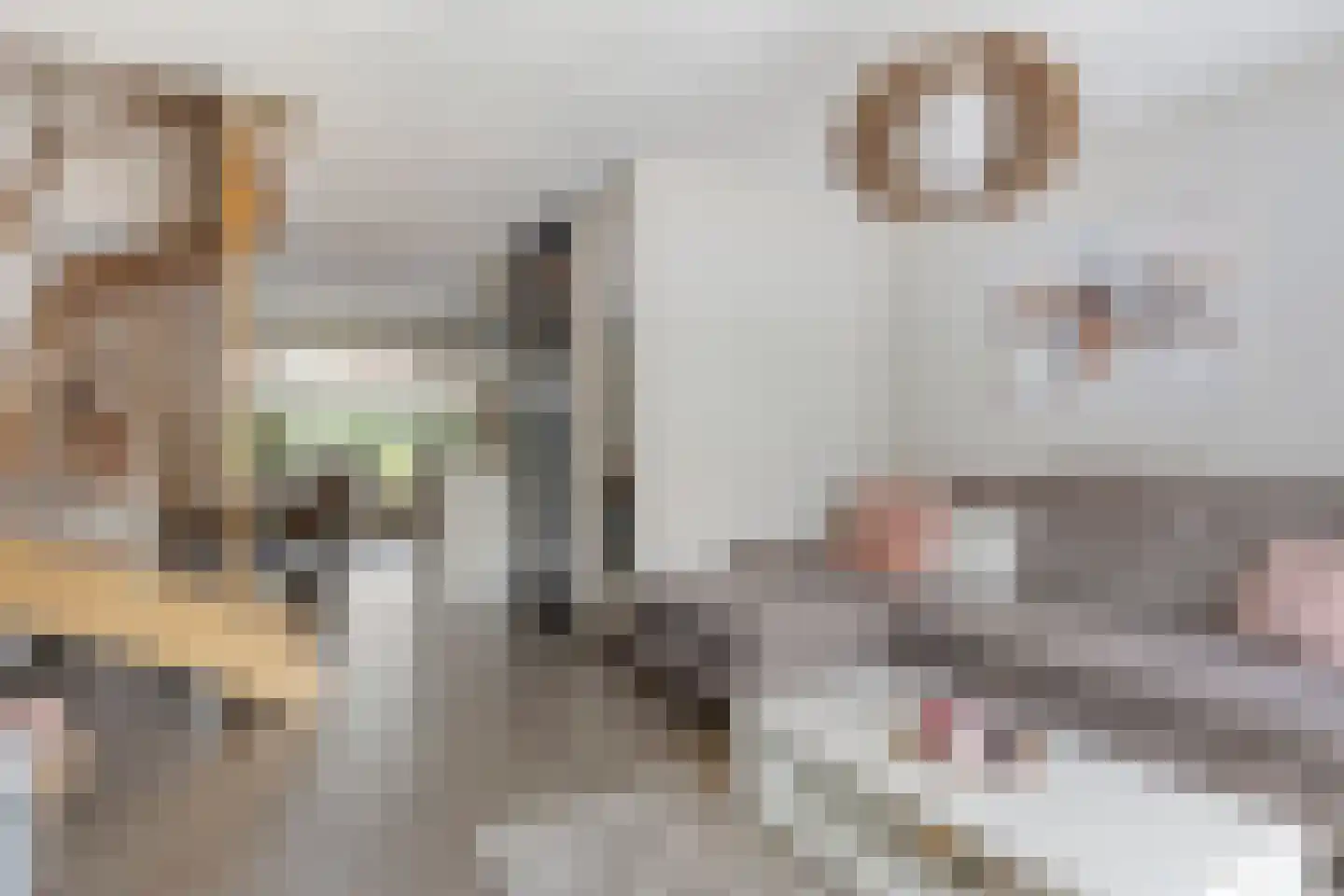 Keubenkamphof 15 Herten thumbnail 10