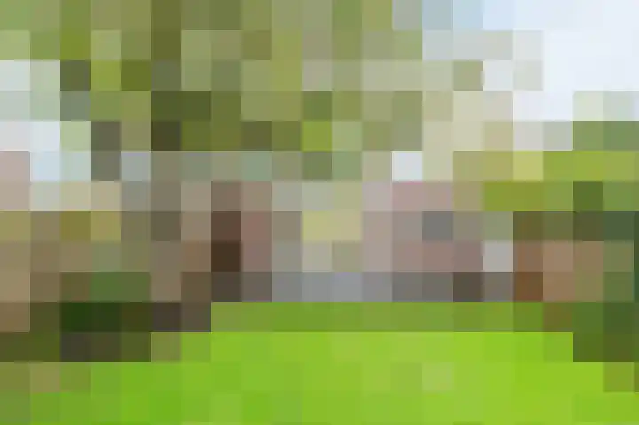 Keucheniuslaan 1 Amstelveen thumbnail 23