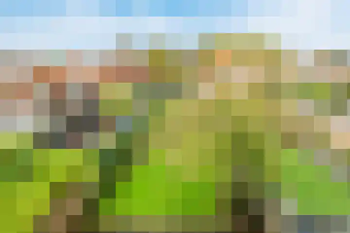 Keucheniuslaan 1 Amstelveen thumbnail 42