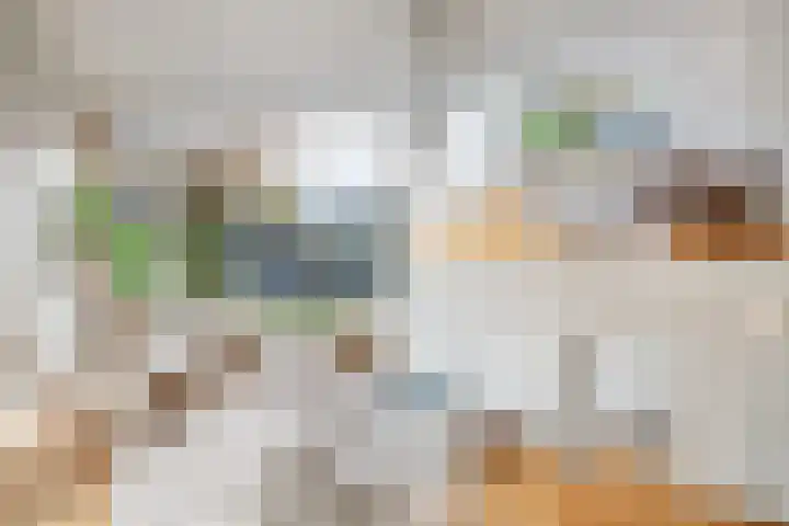 Keucheniuslaan 1 Amstelveen thumbnail 7