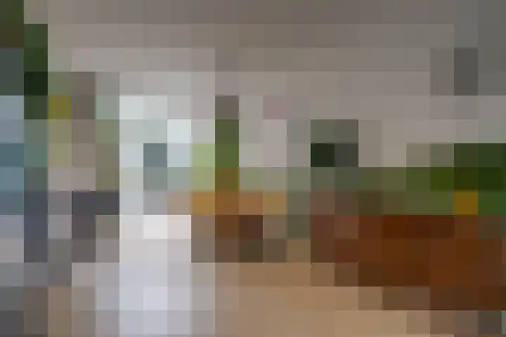 Keucheniusstraat 19 Utrecht thumbnail 11