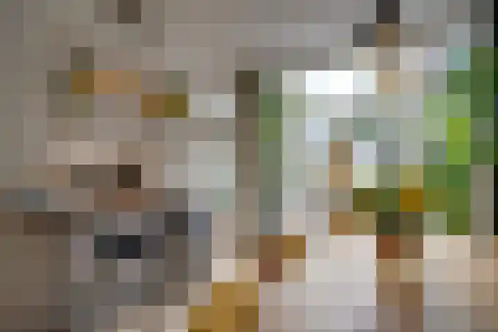 Keucheniusstraat 19 Utrecht thumbnail 15