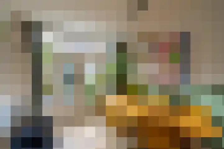Keucheniusstraat 19 Utrecht thumbnail 20