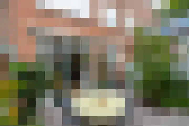Keucheniusstraat 19 Utrecht thumbnail 22