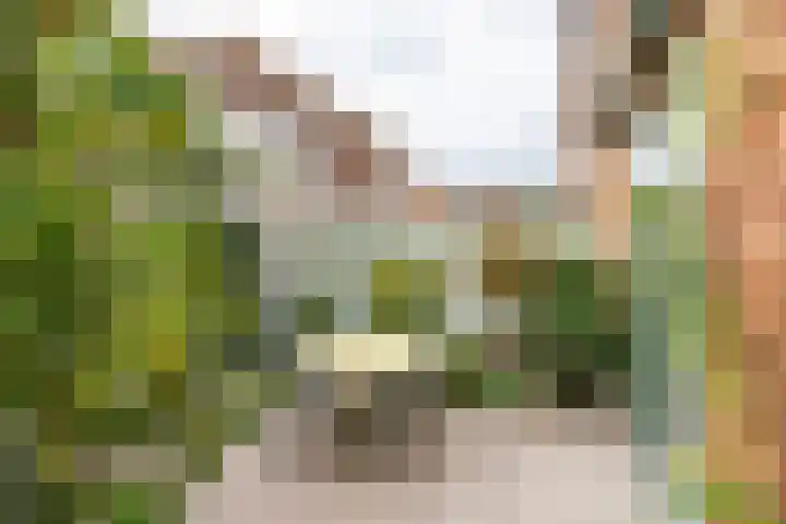 Keucheniusstraat 19 Utrecht thumbnail 26