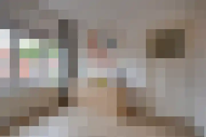 Keucheniusstraat 19 Utrecht thumbnail 39