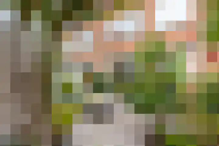 Keucheniusstraat 19 Utrecht thumbnail 4