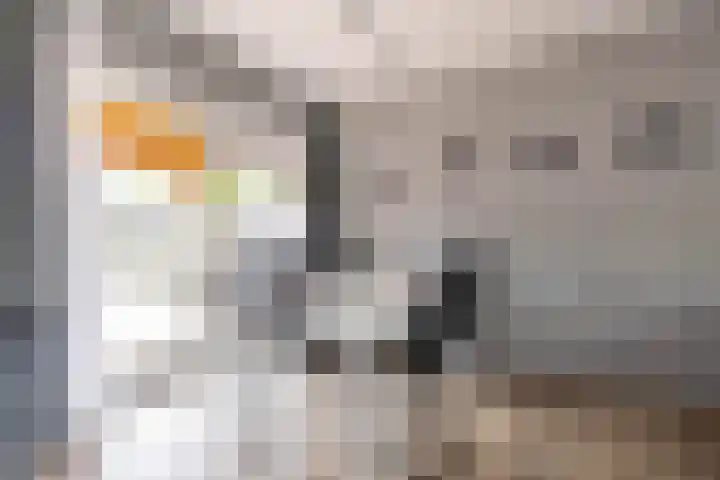 Keucheniusstraat 28 Hoogezand thumbnail 16