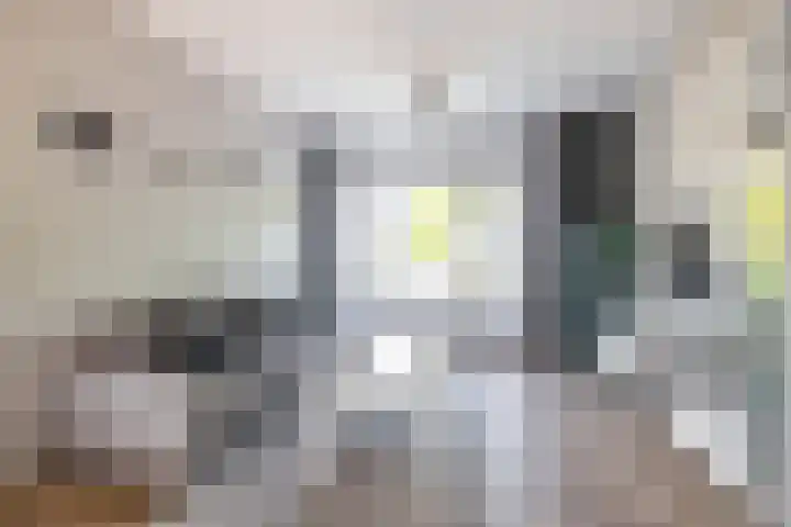 Keucheniusstraat 28 Hoogezand thumbnail 18