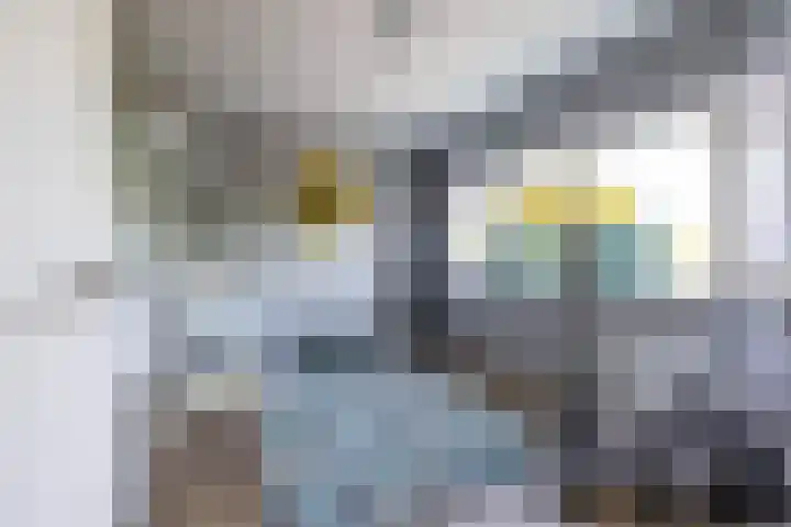 Keucheniusstraat 28 Hoogezand thumbnail 28