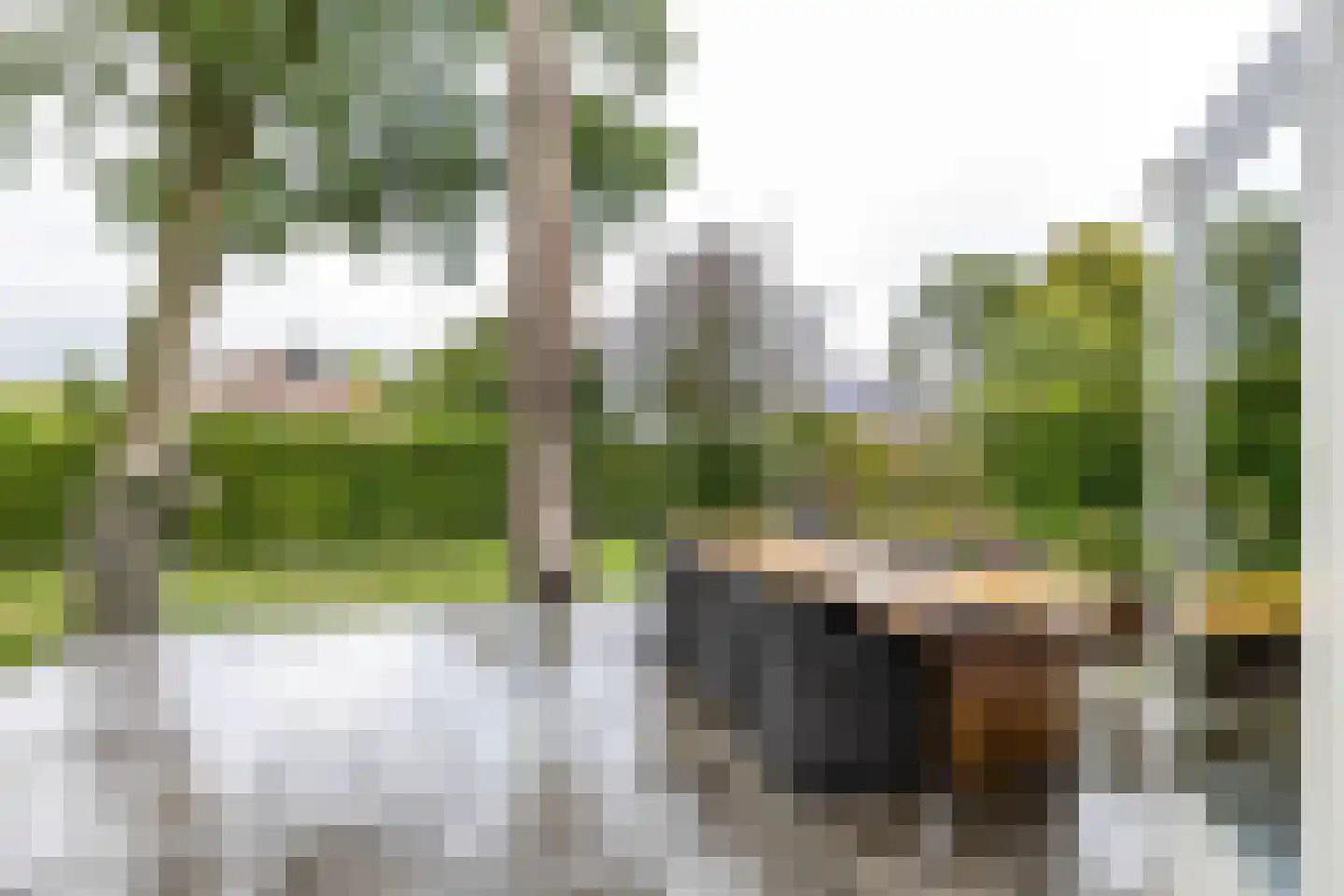 Keukenhof 30 Eext thumbnail 18