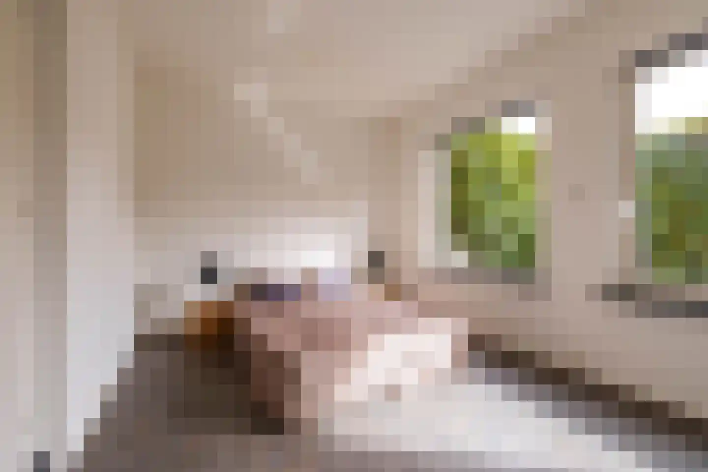 Keukenhof 30 Eext thumbnail 33