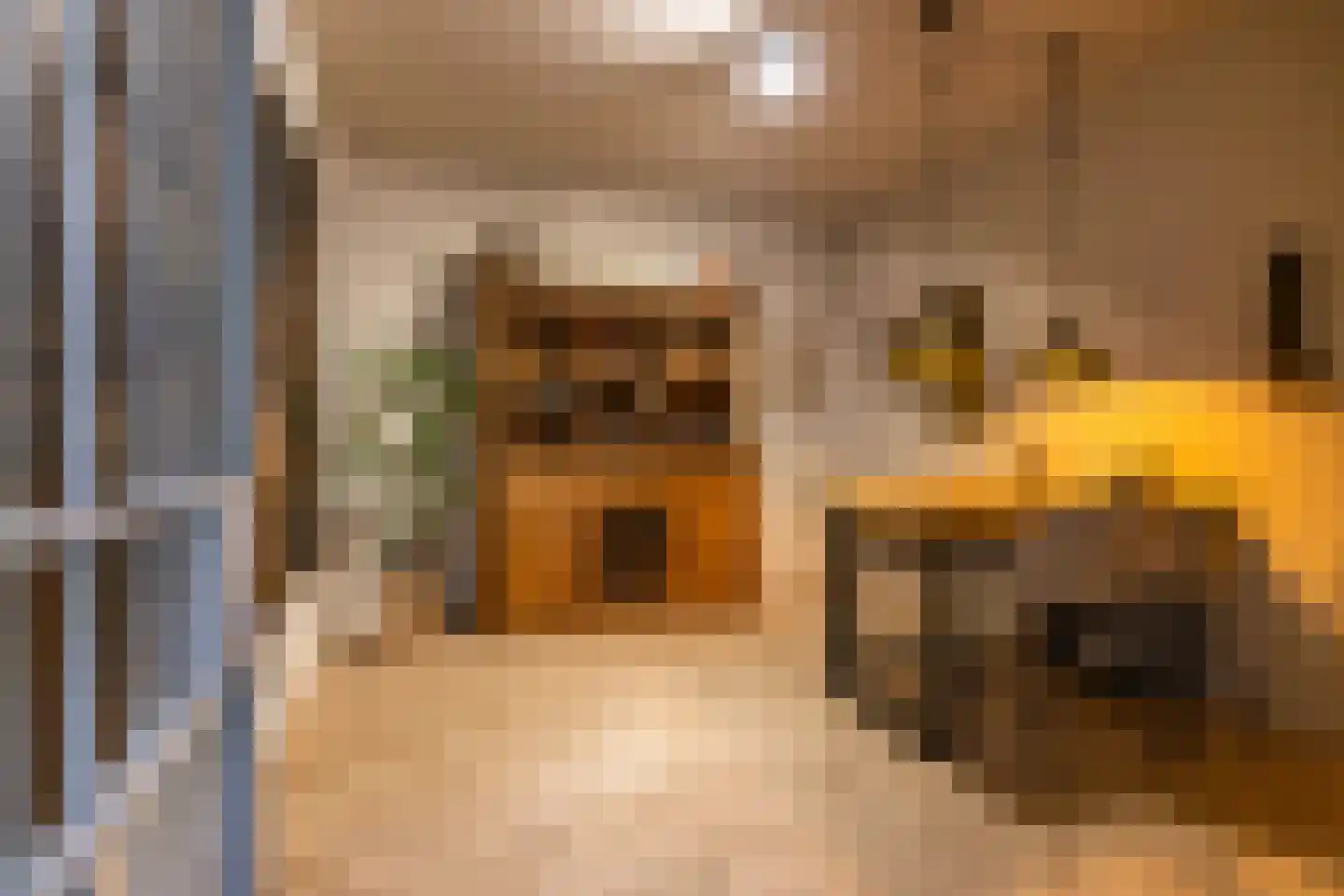 Keukenhof 30 Eext thumbnail 35