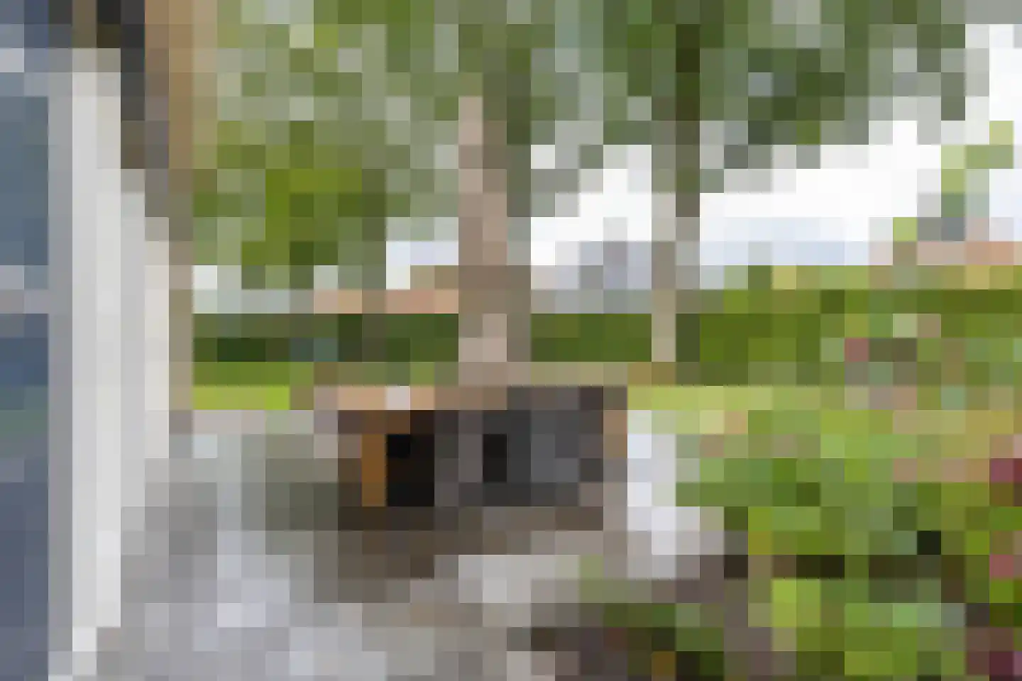 Keukenhof 30 Eext thumbnail 53