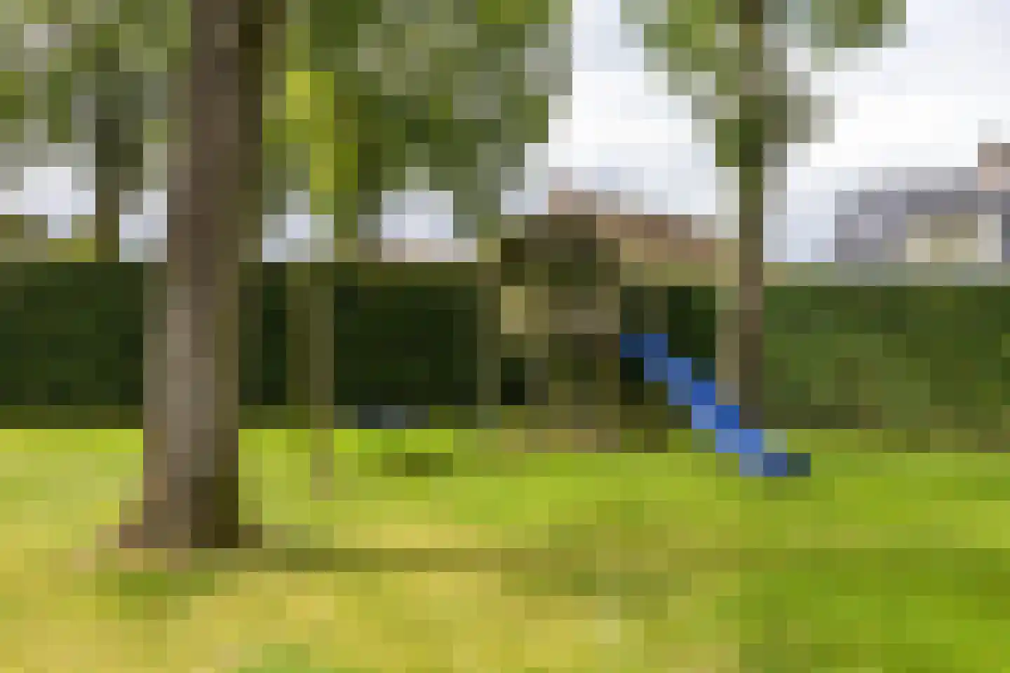 Keukenhof 30 Eext thumbnail 55
