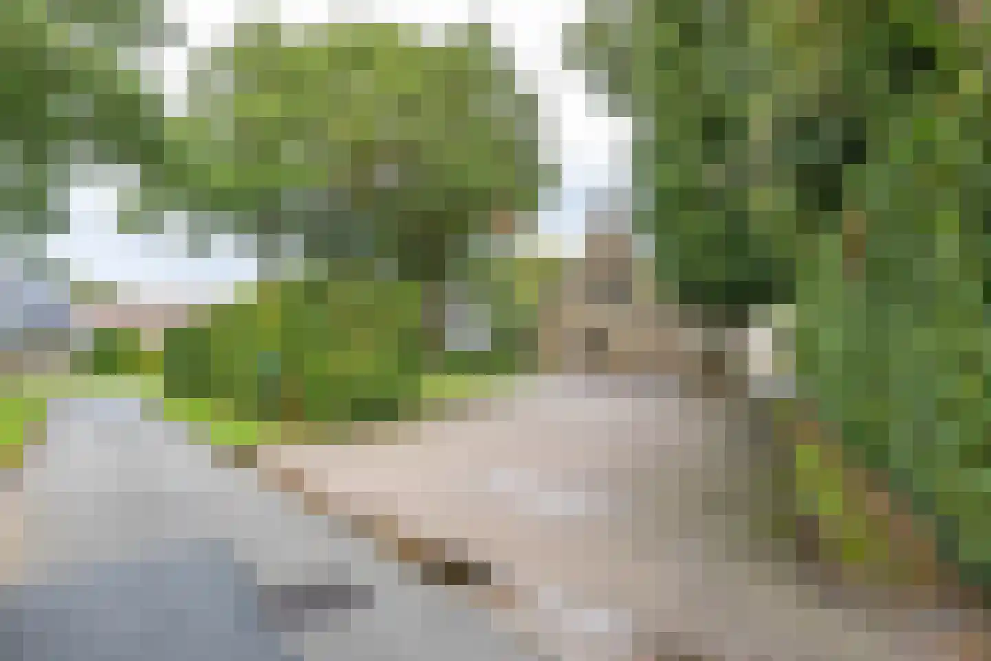 Keukenhof 30 Eext thumbnail 56