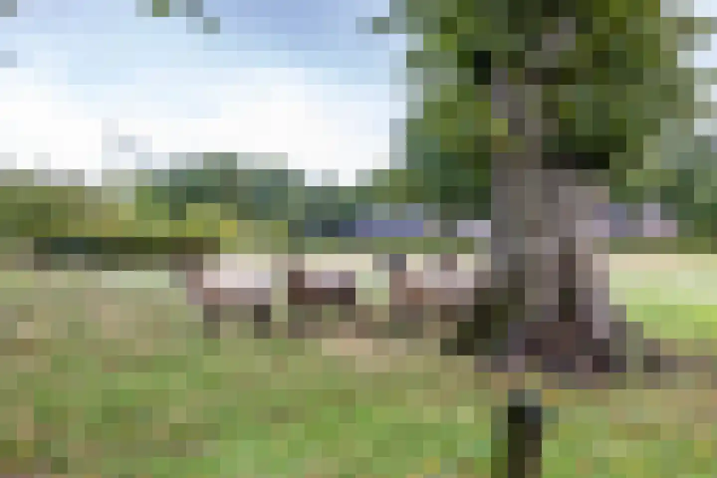 Keukenhof 30 Eext thumbnail 60