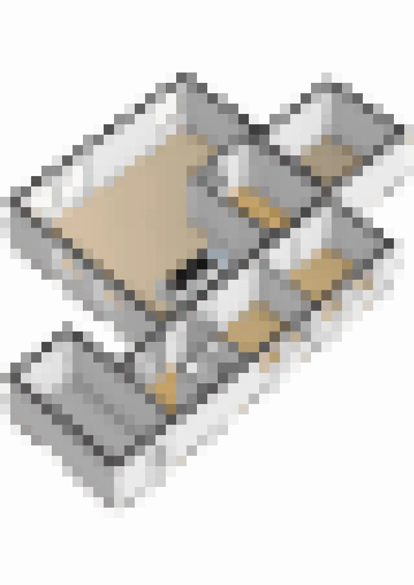 Keukenhof 30 Eext thumbnail 62