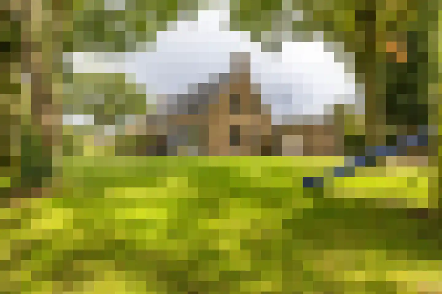 Keukenhof 30 Eext thumbnail 8