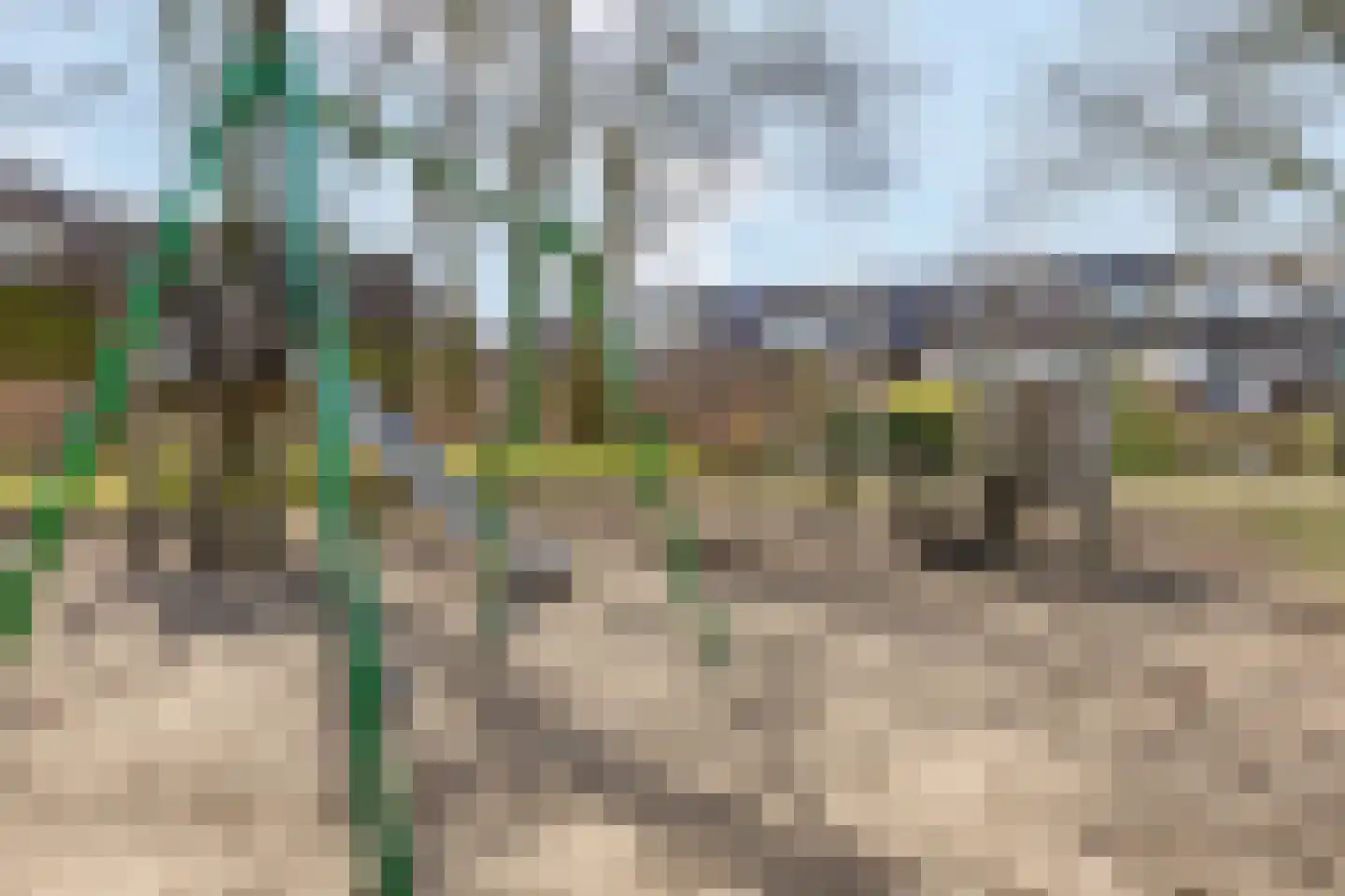 Keukenhof 4 Ede thumbnail 60